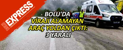 BOLU'DA V�RAJI ALAMAYAN ARA� YOLDAN �IKTI: 3 YARALI