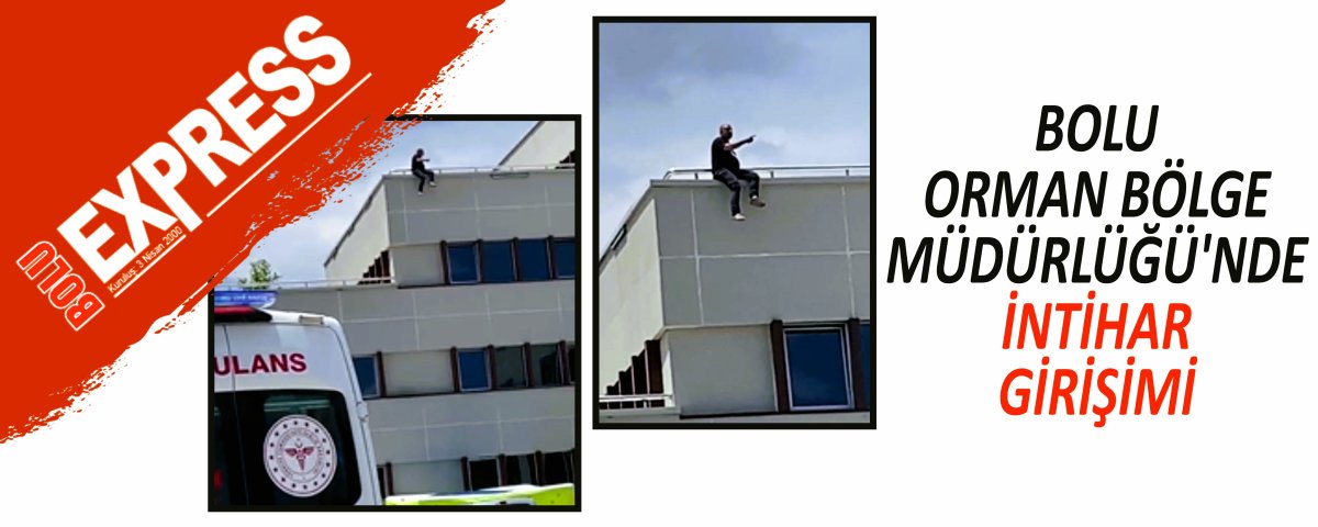 BOLU ORMAN B�LGE M�D�RL���'NDE �NT�HAR G�R���M�