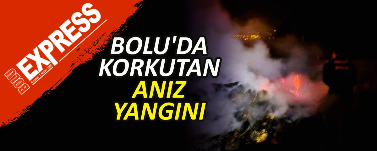 BOLU'DA KORKUTAN ANIZ YANGINI