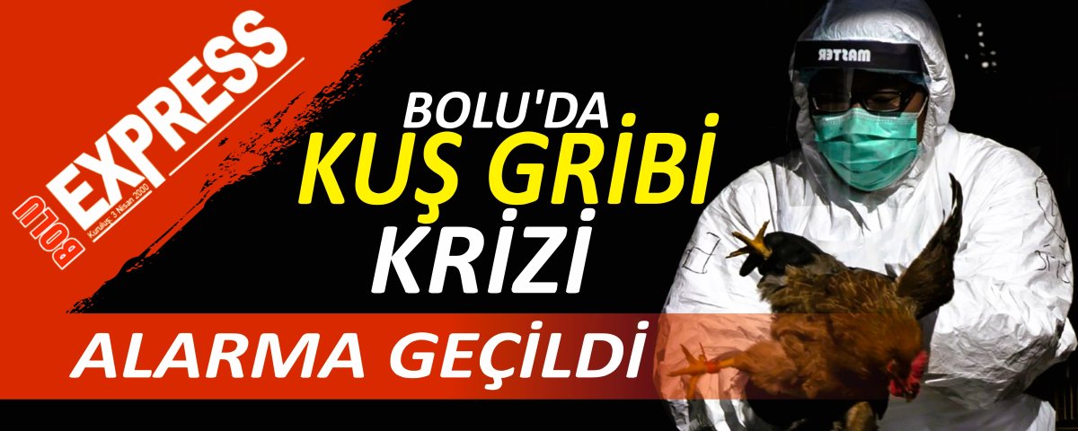 BOLU'DA KU� GR�B� KR�Z�, ALARMA GE��LD�