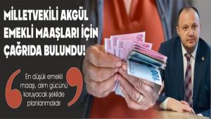 �SMA�L AKG�L\'DEN EMEKL� MAA�I ���N MECL�S\'TE NET �A�RI
