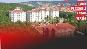 CAN MI CANAN MI?